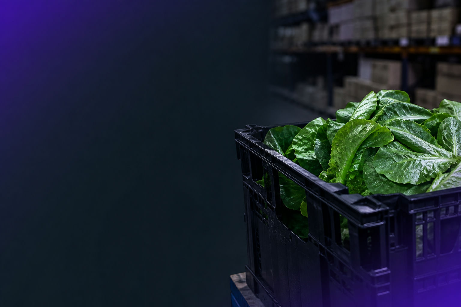 Why battery-free BLE beacons are a top choice for food distribution monitoring